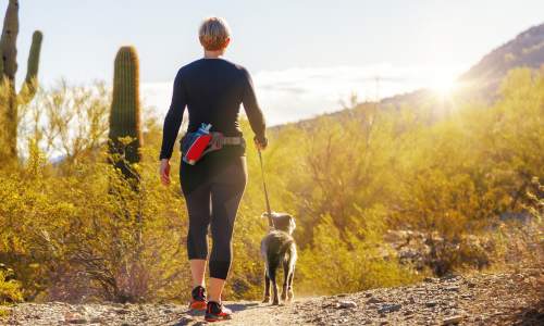 person hiking with dog in desert