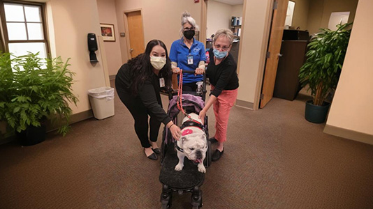 Three women stand around a dog riding in a stroller inside a hospice room. Two of the women are bending down to pet the dog while the third is pushes the stroller.