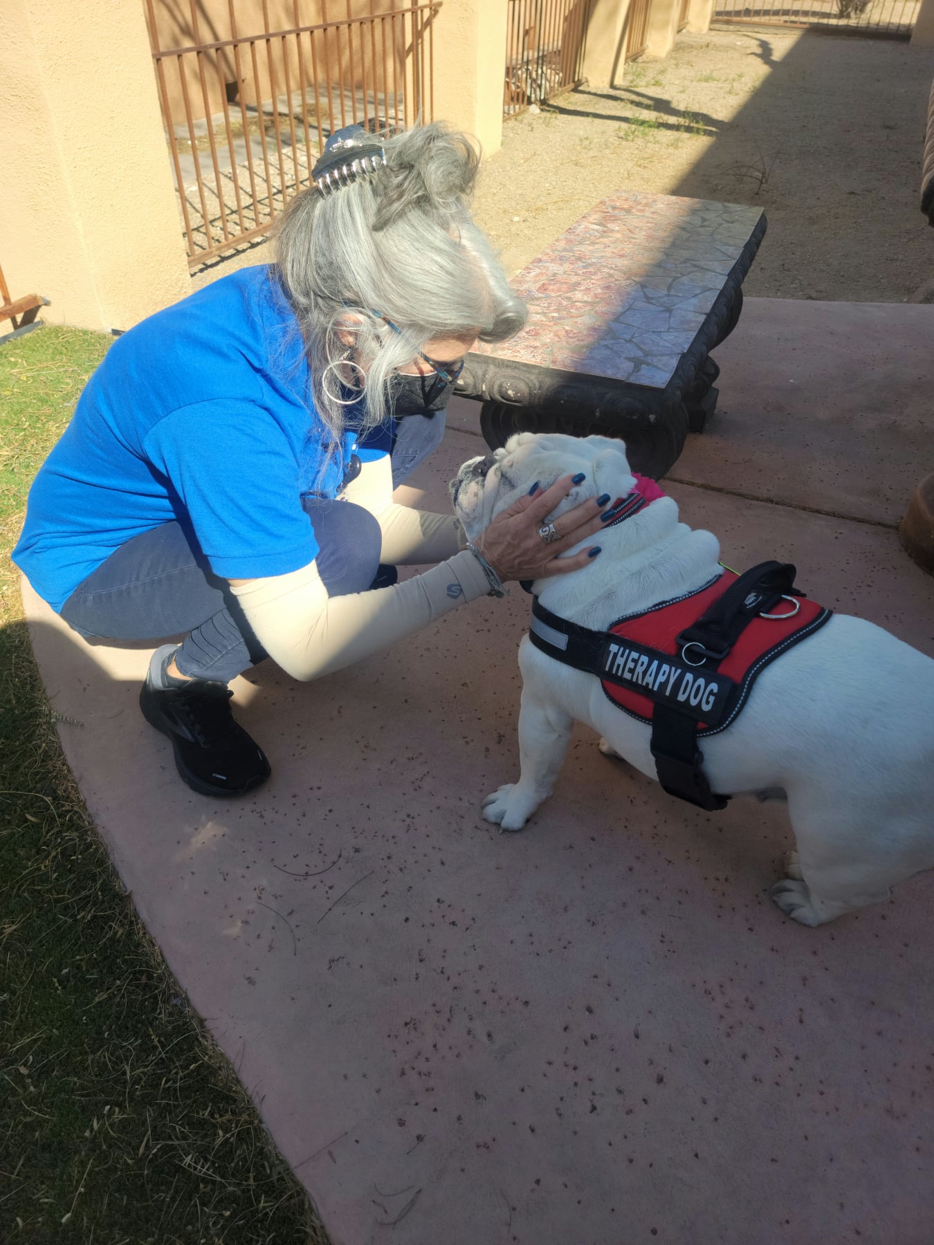 Hospice staff member happily greets an English bulldog in a red "therapy dog" harness.