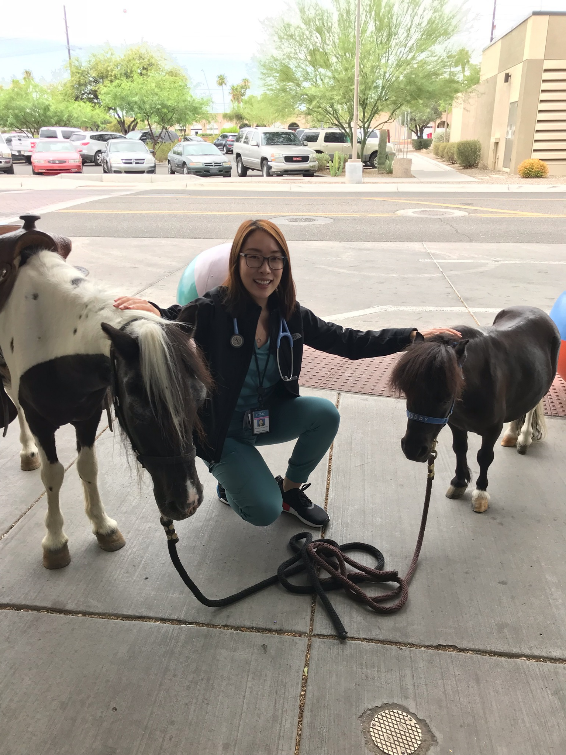 pony pet therapy